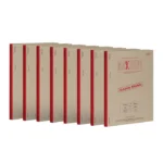 Stray Kids - MAXIDENT (CASE Ver.)