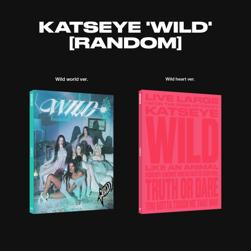 KATSEYE WILD 韓国 popup 特典 ポラロイド セット コンプ KATSEYE - WILD • CHEERS